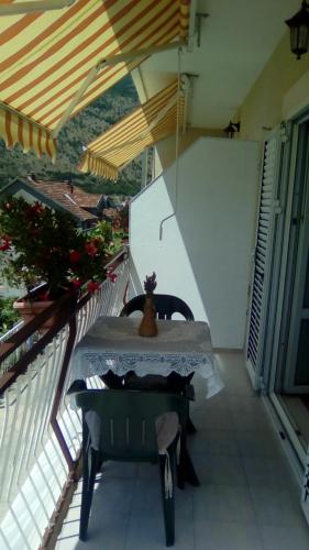 Arijana Accommodation - image 3