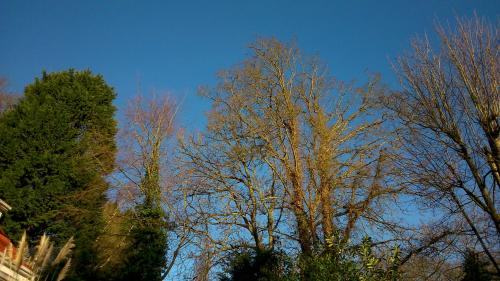 Thornybank - Lower Gresham
