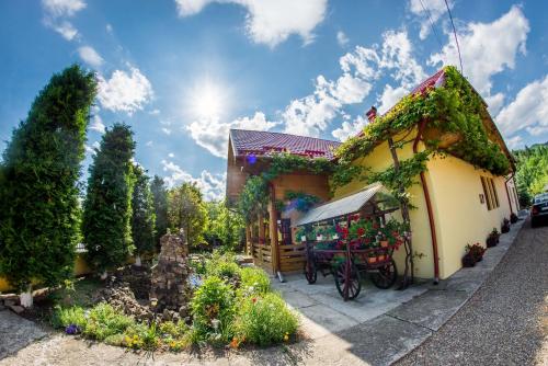 ทางเข้า, Casa Andreea in ซูเซวิตา