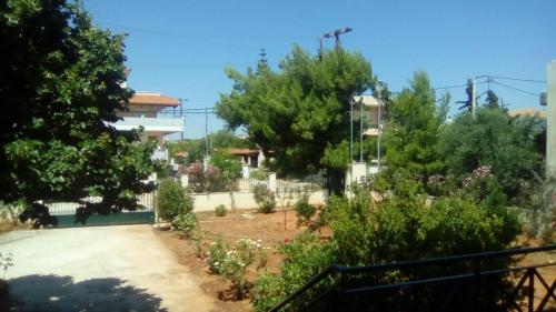  Panorama Artemidos in Artemida