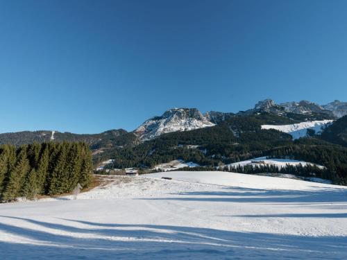 Dachstein Chalet B
