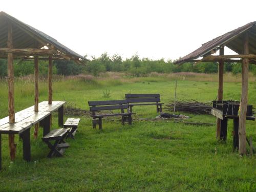 Agroturystyka za lasem