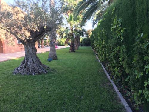 Chalet Beach and Golf Santa Pola Alicante Jupalca - image 14