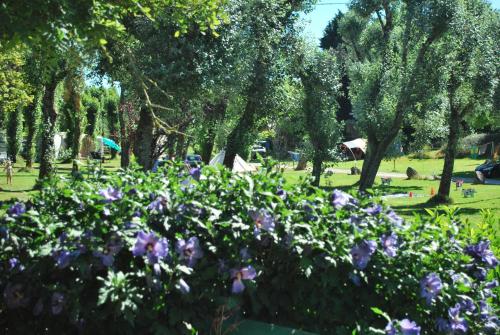 Camping les Tournesols