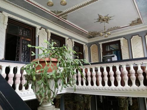 Irma, Sighnaghi (Foto 9)