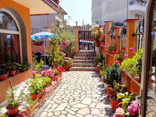 Guest House Hetodon, 