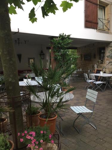 Vivo-Vino in Weisenheim am Sand