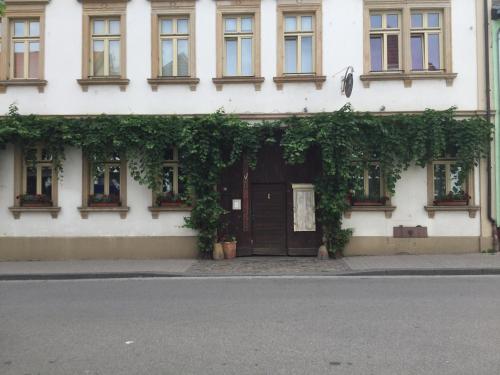 Vivo-Vino - Accommodation - Weisenheim am Sand