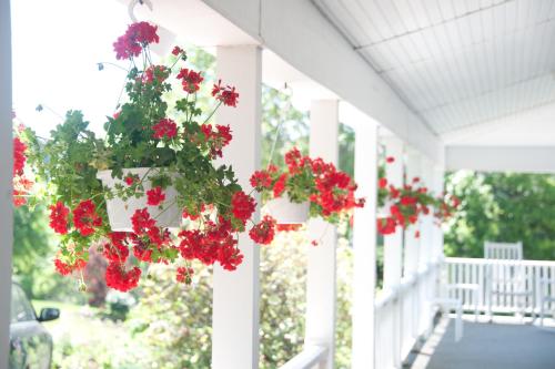 East Wind Inn - image 2