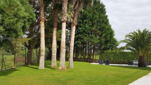 Hotel La Palma de Llanes - image 3