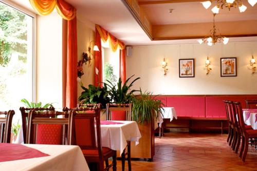 Elbhotel Bad Schandau 4