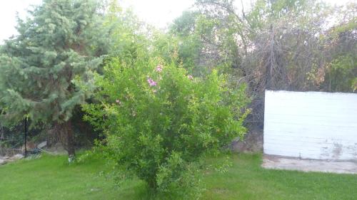 Villa Athina - image 6
