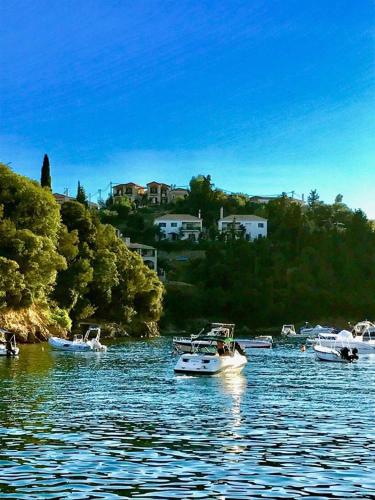  Villa Polyxeni Apartments in Syvota