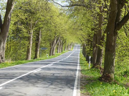 Fewo Rügen Böttger Fewo Rügen Böttger