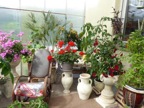 Fewo Rügen Böttger Fewo Rügen Böttger