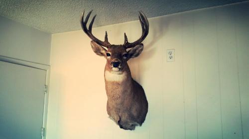 

Deerhead Inn
