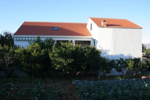  Apartments with a parking space Povlja, Brac - 2922 in Povlja