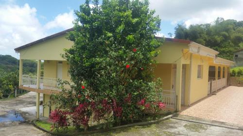 Vista exterior, L'Oliveraie in Saint-Joseph
