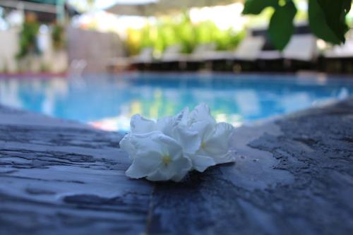Phuc Thao Villa, Hoi An (fotografie 9)