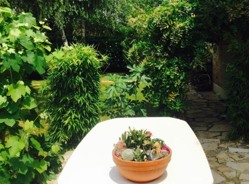 Le Balcon des Jasses – Mercuès, IN