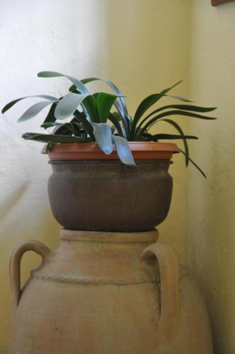 Villa Annamaria B&B – Domaso, CO