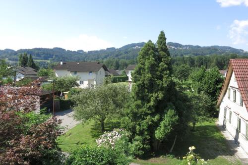 สภาพแวดล้อมโดยรอบ, Ferienwohnung Elsa in โฮเชท