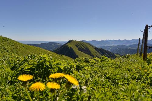 Berghüs Schratt - EINFACH ANDERS - Ihr vegetarisches und veganes Biohotel