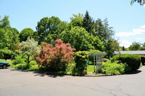 Maple Terrace Motel