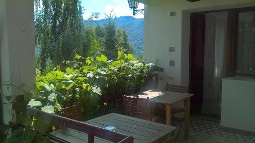 Pension Stejeris - image 14