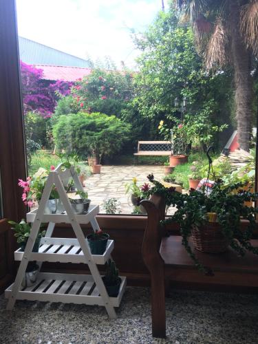 花園, 畢爾巴鄂利亞德酒店 (Hotel Ria de Bilbao) in 德烏斯托