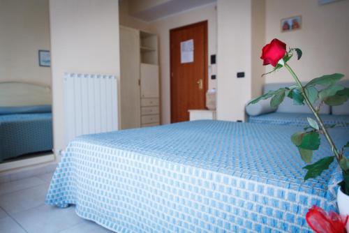 Hotel Rosa & Spa - image 11