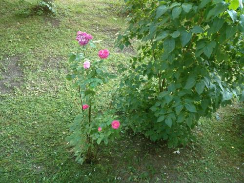 A comfortable 18m room with balcony A comfortable 18m room with balcony