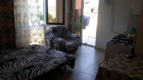 KVARTIRA NA BEREGy - image 4