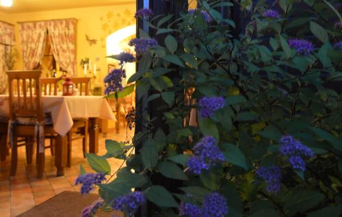 Hotel Magnes - image 5