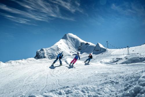 Hotel Künstleralm - image 10