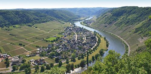 Weinhotel Sonnenschein 2