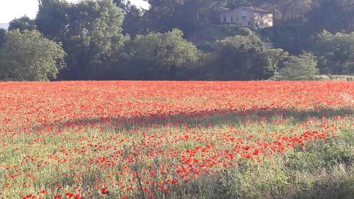 My Home in lourmarin