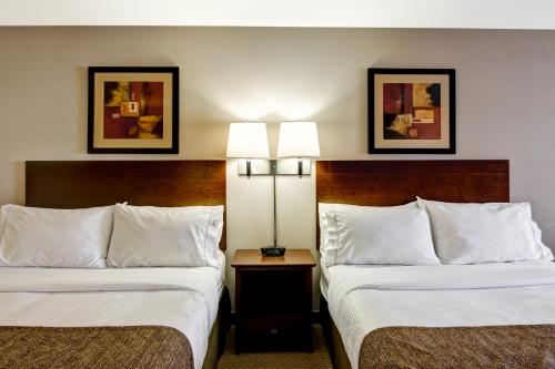 2 twin beds