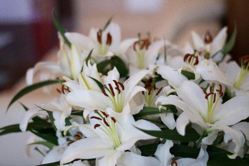Hotel Art - image 8