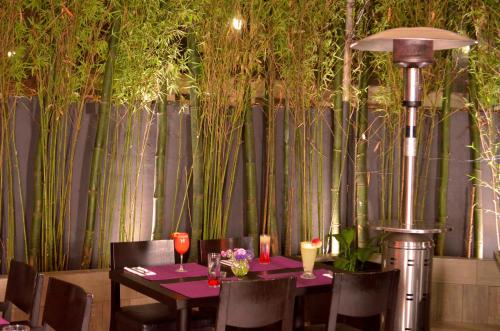 105895120 LaiLa Hotel CDMX Reforma
