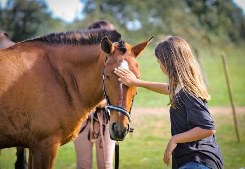 Sesmarias Turismo Rural & SPA - image 9