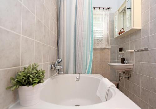 Apartments Tona