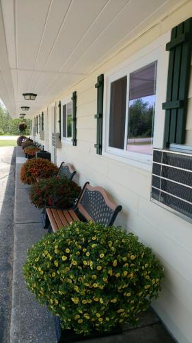 Sunset Motel at Armand's Gardens