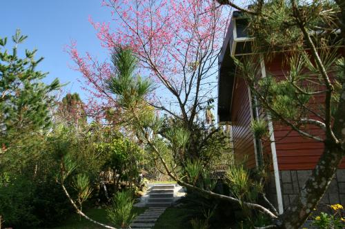 鋐洋民宿 in Lugu Township