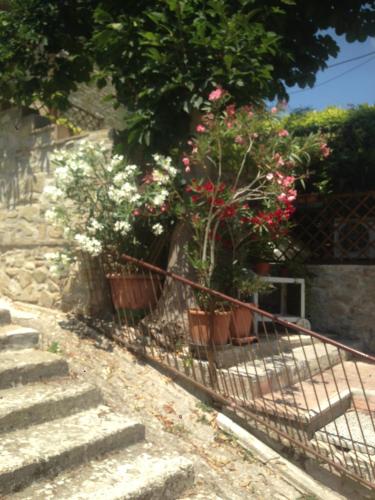 Holiday Home image 5