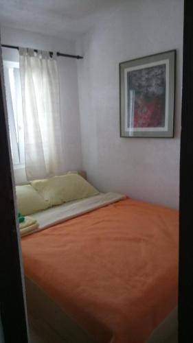  Apartman Mala Paklenica in Seline