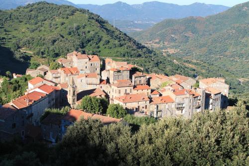 Maison de vacances Le Petit Nid d'Amour Poggio meublé Tourisme 3 étoiles