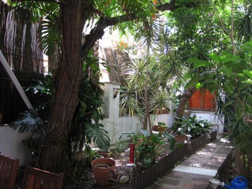 Las Acacias Hostal Restaurante - main image