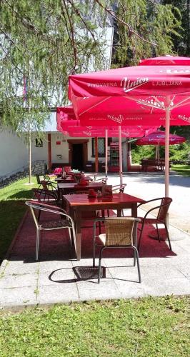A szálláshely kívülről, PLANINSKA KOCA NA GOZDU in Kranjska Gora