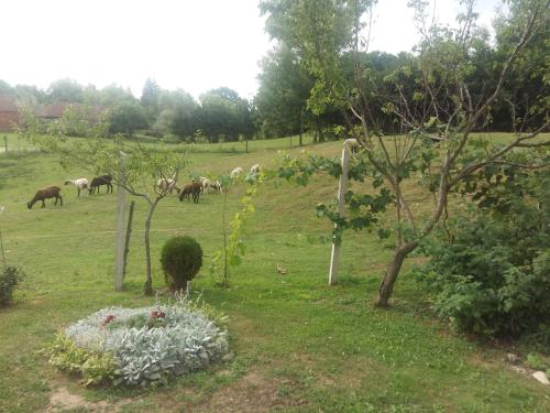  Szarvasszálló Vendégház, Unterkunft in Magyarszombatfa